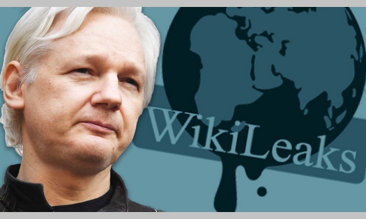 Wikileaks-Ackermann
